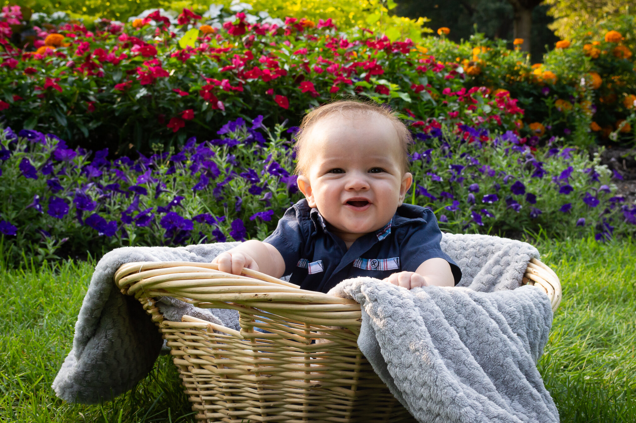 6 month old boy in a basket - milestone session
